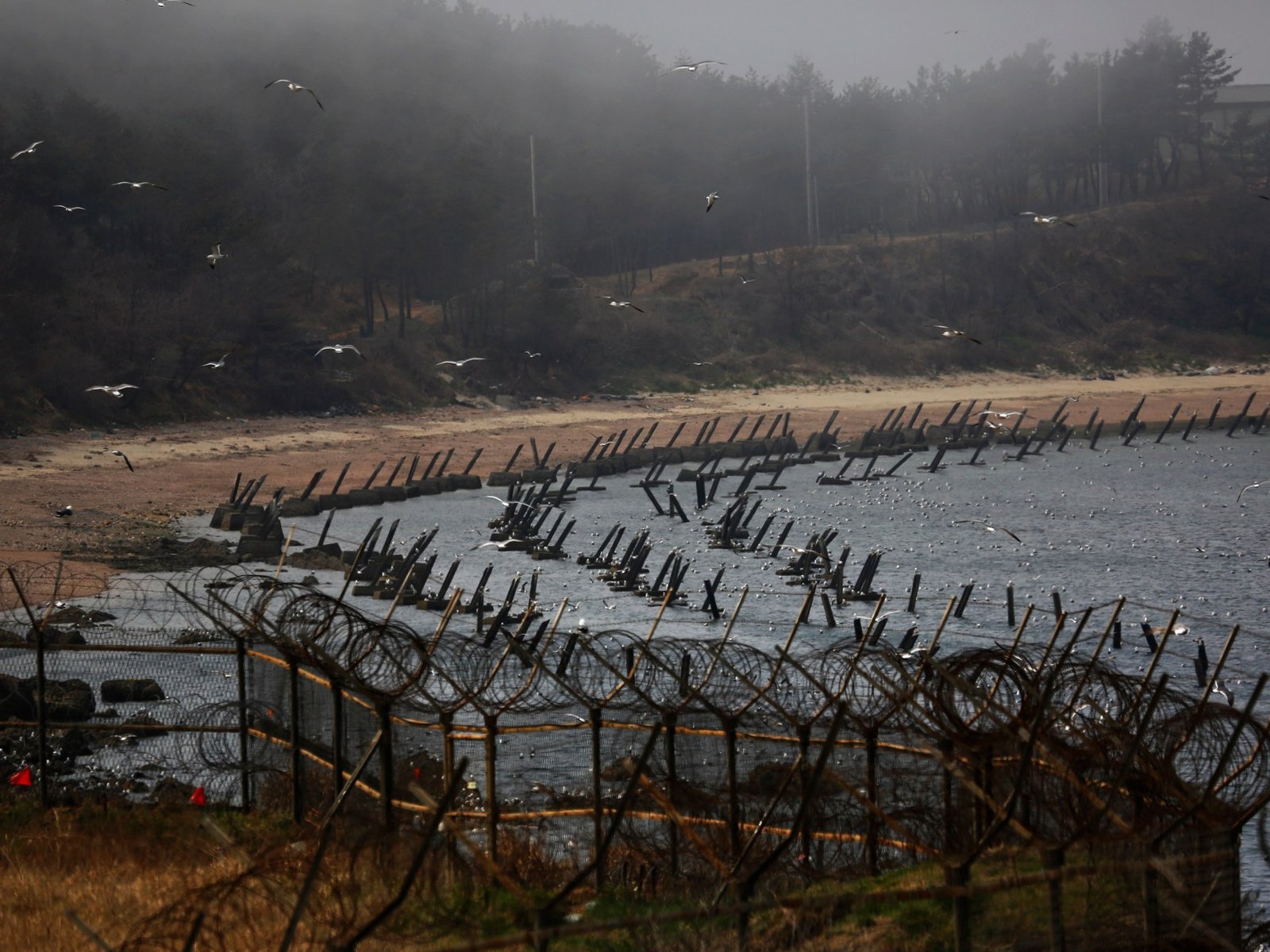 Amerikanen Vastgehouden Bij Poging Om Rijst, Bijbels En Dollarbiljetten Naar Noord-Korea Te Sturen