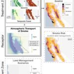 App voor Woongebied Rook van Bosbranden Toont Risico's voor Bevolking Dichtbij Stedelijke en Plattelandsgrenzen