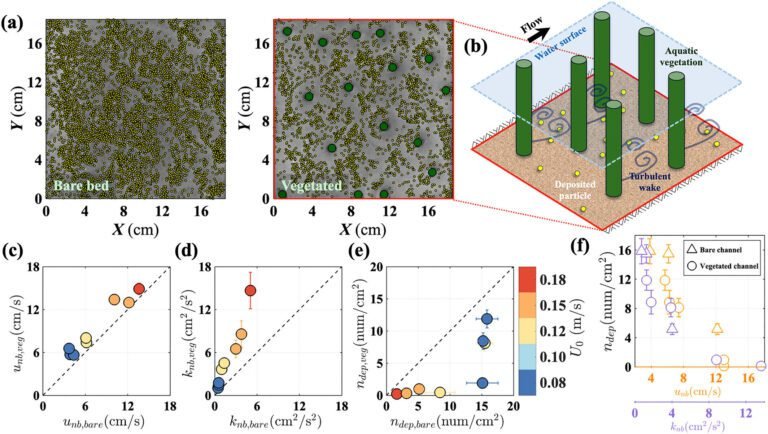 Biofilmverspreiding helpt bij het identificeren van gebieden waar microplastics zich ophopen