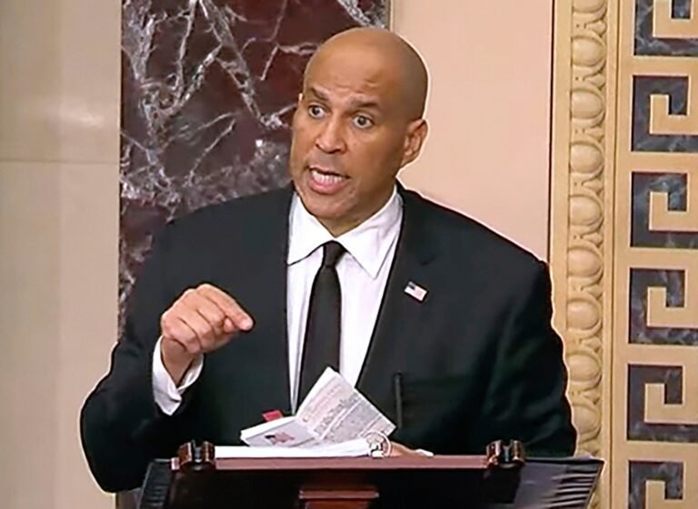 De Weerstand van de Democraten Tegen Trump is een Schijngestalte