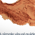 Eenvoudige Visuele Gids voor Iran en Zijn Bevolking