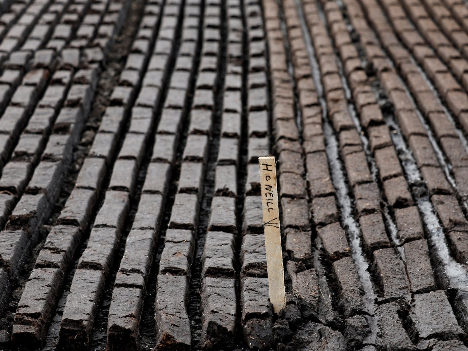Foto's: Klimaatactie in botsing met traditie in de veengebieden van Ierland