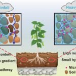 Groene Daken Vangen Bijna Alle Microplastics uit Regenwater