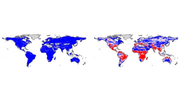 Hittegolven, droogtes en branden kunnen binnenkort samenkomen als 'nieuwe normaal', blijkt uit onderzoek