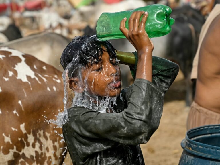 Mei 2023 was de op ƩƩn na warmste maand ooit geregistreerd, volgens EU-wetenschappers