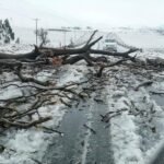 Minstens 49 doden bij overstromingen in Zuid-Afrika, studenten meegesleurd in bus