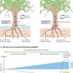 Nieuwe startdatum voor het Antropoceen voorgesteld: Wanneer mensen de wereldwijde methaanlevels voor het eerst wijzigden
