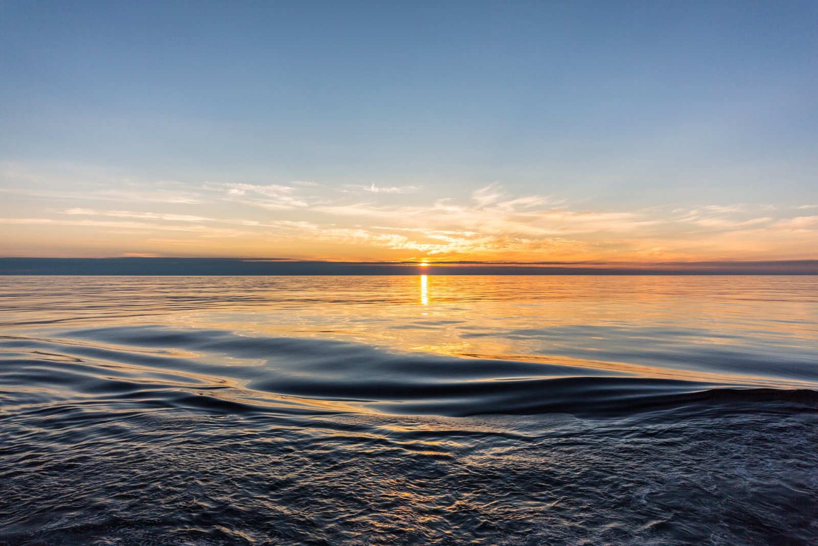 Onderbelichte stroming in de Barentszzee kan cruciale rol spelen bij het verlies van zee-ijs in de Arctische winter