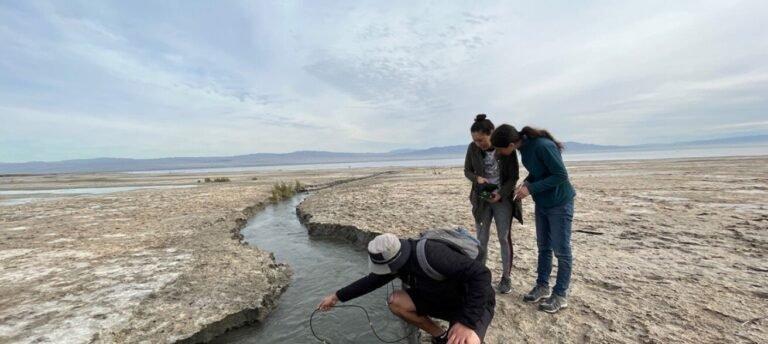 Onderzoek: Luchtkwaliteitsmonitoring onderschat giftige emissies naar gemeenschappen rond het Salton Sea