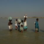 Onderzoek toont aan dat planetaire golven gerelateerd aan extreem zomerse weer sinds 1950 zijn verdriedubbeld