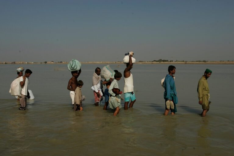 Onderzoek toont aan dat planetaire golven gerelateerd aan extreem zomerse weer sinds 1950 zijn verdriedubbeld
