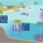 Onderzoek waarschuwt dat koolstofdioxide-verwijderingsmethoden de afname van zuurstof in de zee kunnen verergeren