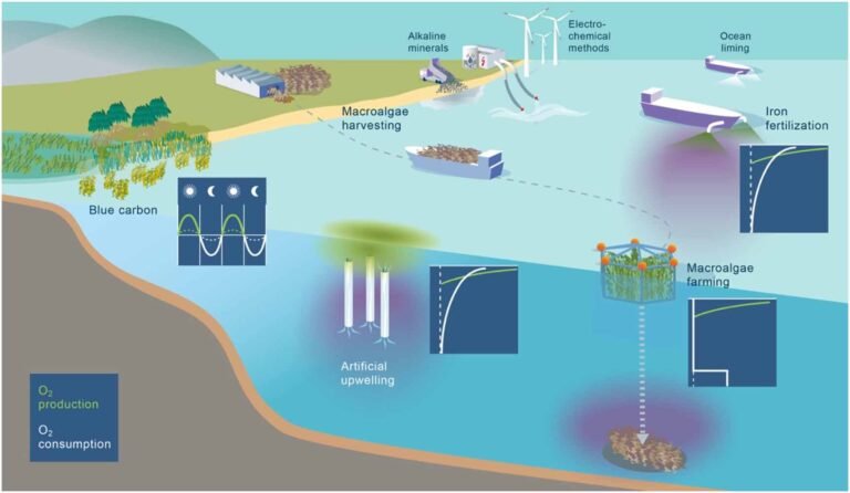 Onderzoek waarschuwt dat koolstofdioxide-verwijderingsmethoden de afname van zuurstof in de zee kunnen verergeren