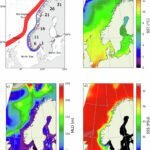 Schadelijke algenbloei: De impact van klimaatverandering op de frequentie langs de kusten