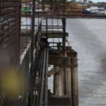 Studie toont ongelijkmatige verzakking van grond in New Orleans aan, wat zorgen over overstromingsrisico's vergroot