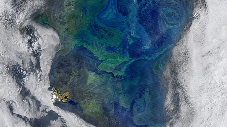 Subantarktische Moduswateren Ontdekt met Diverse Oorsprongen in de Indische en Stille Oceaan