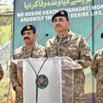 Tijdens de Amerikaanse-Pakistaanse ontspanning: twee belangrijke uitdagingen van Iran en China