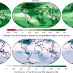 Toegenomen bosbranden door klimaatverandering kunnen de opname van CO₂ in oceanen beïnvloeden