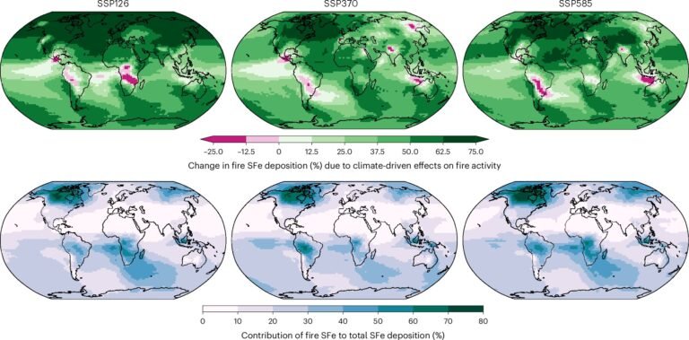 Toegenomen bosbranden door klimaatverandering kunnen de opname van CO₂ in oceanen beïnvloeden