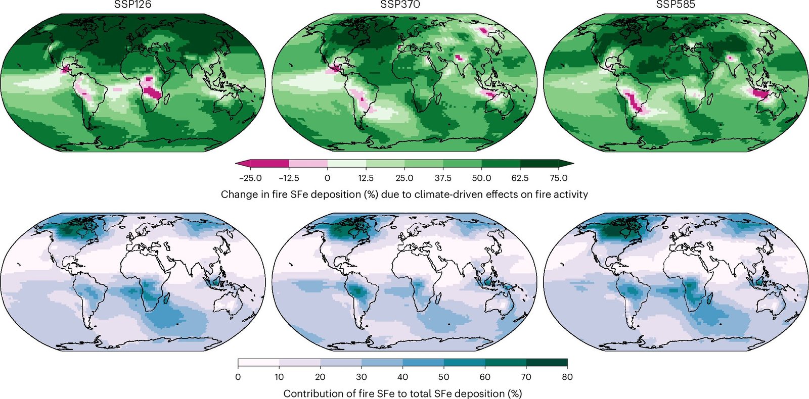 Toegenomen bosbranden door klimaatverandering kunnen de opname van CO₂ in oceanen beïnvloeden