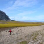 Veengebieden in het Arctisch gebied breiden uit door opwarming van het klimaat