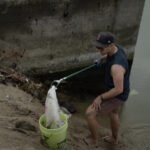 Verbod op plastic tassen vermindert zwerfvuil: Studie toont tot 47% afname van tasafval op stranden