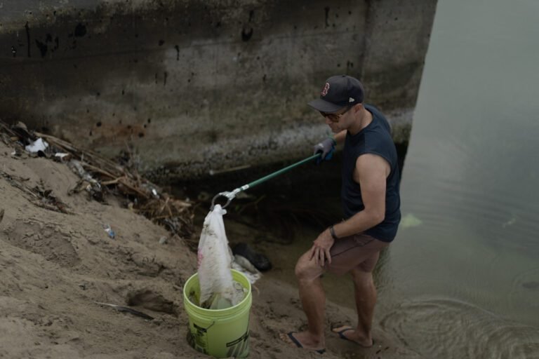 Verbod op plastic tassen vermindert zwerfvuil: Studie toont tot 47% afname van tasafval op stranden