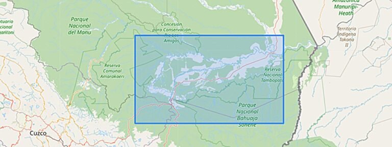 Waarom de bossen in het Amazonegebied niet terugkeren na goudwinning