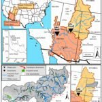 Watermarkt voor de Colorado-rivier kan zowel vissen als boeren ten goede komen