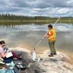 Zeldzame aardmetalen die concurreren om opname kunnen hun eigen milieueffect op aquatische organismen verminderen