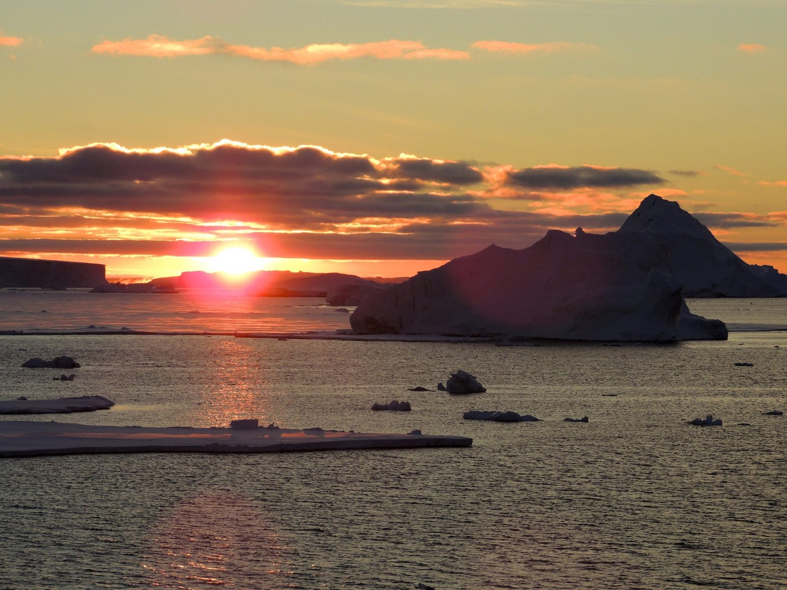 Zuidelijke Oceaan wordt zouter, warmer en verliest snel ijs door onverwachte trendomkering