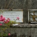 Begin van de Opgraving van Kindermassagraf bij Kerkelijk Tehuis in Ierland