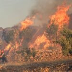 Bosbrand op het Griekse eiland Kreta dwingt tot evacuatie van 1.500 mensen