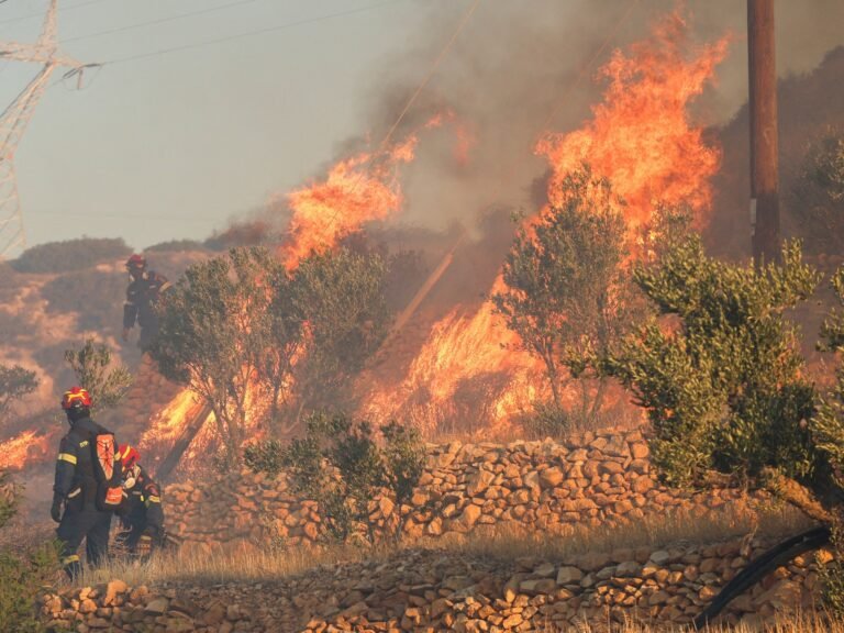 Bosbrand op het Griekse eiland Kreta dwingt tot evacuatie van 1.500 mensen