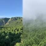 Dagelijks verschil tussen temperatuur en luchtvochtigheid beschermt nevelwouden tegen droogte