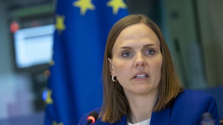 Deense minister pleit voor vereenvoudiging van de EU AI-wetgeving en digitale regels