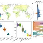 Dynamische dataset onthult rol van wetlands in veranderingen van terrestrische koolstofputten