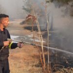 Foto's: Dodelijke bosbrand op Cyprus eist twee levens en dwingt tot massale evacuaties