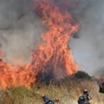 Foto's: Griekenland kampt met grote bosbranden te midden van aanhoudende hittegolf