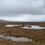 Gezonde Europese veengebieden vereisen specifieke temperatuur- en waterpeilparameters