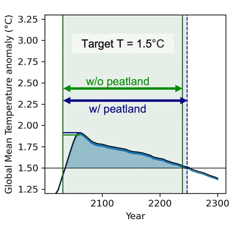 Het Negeren van Veenlanden Kan Klimaatdoelen Ingevaar Brengen