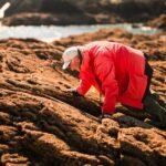 Hoe Zullen de Kustlijnen van de Wereld Er in 2025 Uitzien? Wetenschappers Herzien Voorspellingen van het Begin van de Eeuw