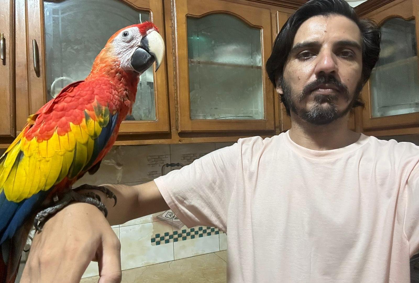 Hoe de verkoop van papegaaien aan een Pakistaanse journalist leidde tot een geblokkeerde bankrekening