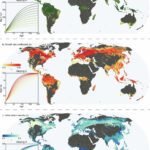 Jonge bossen kunnen helpen bij het vastleggen van koolstof in de strijd tegen klimaatverandering