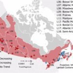 Klimaatverandering veroorzaakt grote toename van algen in Canadese meren, onderzoek toont aan