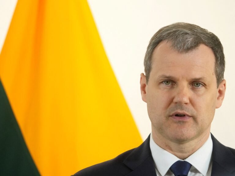 Litouwse Premier Paluckas Treedt Af na Protesten