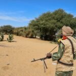 Mali-leger meldt 80 strijders omgekomen na eerdere aanvallen van al-Qaeda