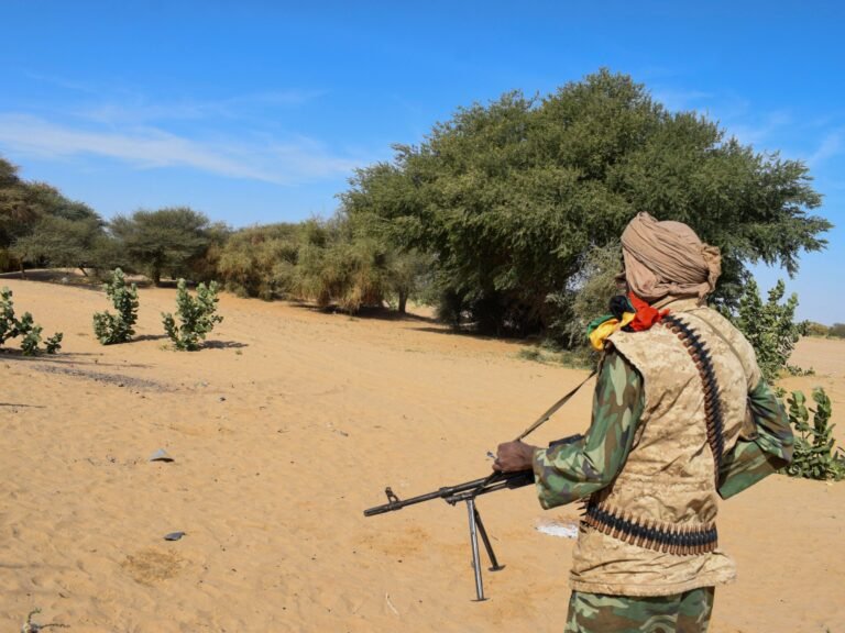 Mali-leger meldt 80 strijders omgekomen na eerdere aanvallen van al-Qaeda