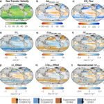 Meer luchtbellen zorgt voor grotere variatie in koolstofopslag in de oceaan