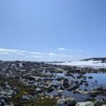 Nieuw afstandsmeetingssysteem brengt unieke vegetatie van Antarctica in detail in kaart